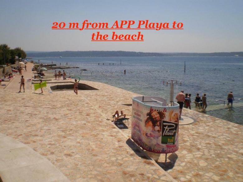 Apartment Playa Novigrad  Exterior photo