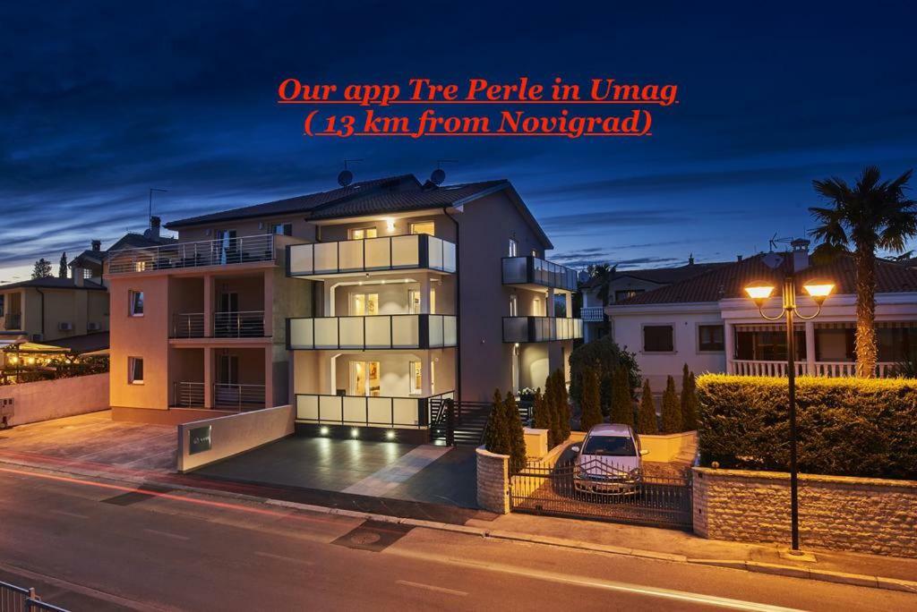 Apartment Playa Novigrad  Exterior photo